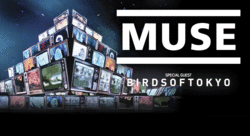 Muse / Birds of Tokyo  on Nov 30, 2013 [387-small]