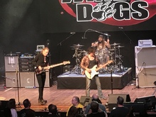 Damon Johnson  / The Winery Dogs on May 18, 2019 [924-small]