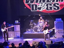 Damon Johnson  / The Winery Dogs on May 18, 2019 [925-small]