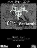Immortal Bird / Grody / Tentacult on May 29, 2019 [983-small]