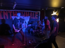 In The Whale on May 31, 2019 [077-small]