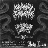 A Waking Memory / One Vote for Violence / Down Hollow on Jun 15, 2019 [916-small]