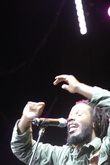 Ziggy Marley / Shaggy / Eddy Grant / Arrested Development / Inner Circle / Ali Campbell on Jan 31, 2009 [911-small]