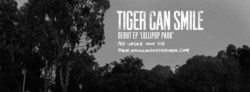 Tiger Can Smile / Brothers Goon / Todd Fogarty / The Great Awake on Mar 12, 2016 [097-small]
