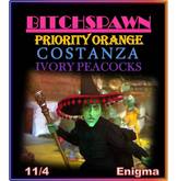 Bitchspawn / Priority Orange / Costanza / The Ivory Peacocks on Apr 11, 2014 [971-small]
