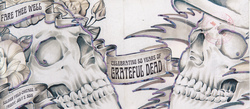 Grateful Dead on Jul 3, 2015 [741-small]