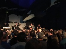 Wingenfelder / Björn Paulsen on Mar 23, 2019 [995-small]