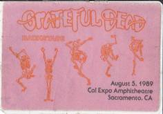 Grateful Dead on Aug 5, 1989 [683-small]