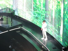 Jonas Brothers / Bebe Rexha / Jordan McGraw on Sep 7, 2019 [700-small]