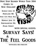 Reel Big Fish / Survay Says! / The Feel Goods on Jun 22, 2014 [200-small]