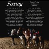 Foxing / Ratboys / Kississippi on Sep 2, 2018 [118-small]