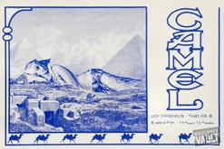 Camel on Feb 8, 1979 [975-small]