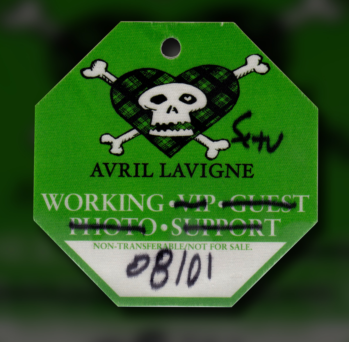 Avril Lavigne's 2008 Concert & Tour History Concert Archives