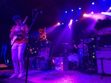 The Standards, tags: The Standards - Tiny Moving Parts / Fredo Disco / The Standards / Glacier Veins on Nov 3, 2019 [984-small]