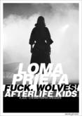 Loma Prieta / Fuck, Wolves! / Afterlife Kids on Jul 4, 2012 [045-small]