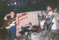 Yes on May 19, 1998 [895-small]