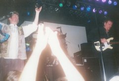 Yes on May 19, 1998 [904-small]