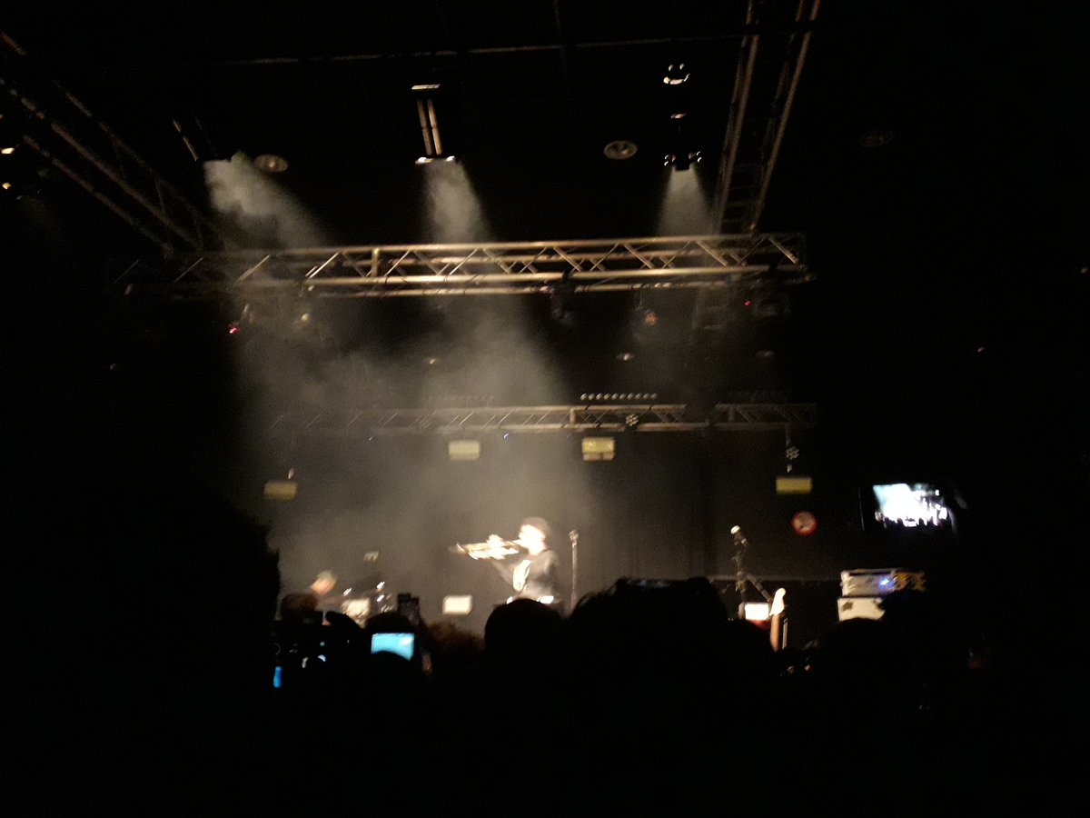 Concert History of Kavka Zappa Antwerp, Flanders, Belgium (Updated for