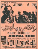 Reel Big Fish / Nerf Herder / Animal Chin on Jun 6, 1997 [389-small]