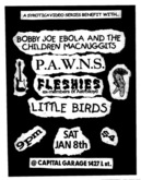 Bobby Joe Ebola and the Children MacNuggits / Fleshies / Little Birds / P.A.W.N.S. on Jan 8, 2000 [220-small]