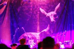 Junip / Say Yes Dog on Sep 23, 2013 [215-small]