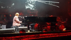 Elton John on Nov 11, 2019 [550-small]