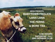 Babytown Frolics / Lana Lana / The Ferns / The Dustbusters on Nov 17, 2012 [082-small]