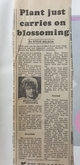 Review from Nottingham Evening Post , Robert Plant on Dec 20, 1983 [927-small]