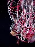 P!nk on May 12, 2018 [454-small]