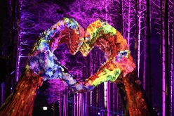 Electric Forest 2019 on Jun 27, 2019 [578-small]