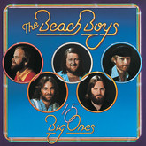 The Beach Boys - 15 Big Ones - 1976, The Beach Boys / The Doobie Brothers / Jeff Beck / Firefall / The Ozark Mountain Daredevils on Jul 23, 1976 [412-small]