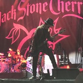 Ramblin' Man Fair on Jul 19, 2019 [659-small]