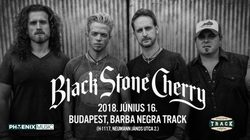 Black Stone Cherry on Jun 16, 2018 [972-small]
