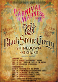 Black Stone Cherry / Shinedown / Halestorm / Highly Suspect on Feb 4, 2016 [213-small]