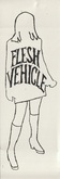 Flesh Vehicle sticker, The V-roys / Flesh Vehicle on Dec 31, 1998 [865-small]