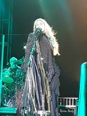 Stevie Nicks concert  on Jan 17, 2020 [931-small]