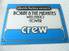 Bobby And The Midnites / Bob Weir on Feb 10, 1982 [946-small]