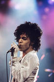Prince / Sheila E. on Nov 22, 1984 [880-small]