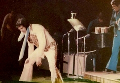 Elvis Presley on May 28, 1977 [485-small]