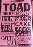 Toad the Wet Sprocket / Pope-A-Lopes / Cake on Feb 1, 1992 [759-small]