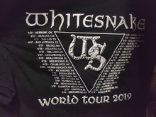 Whitesnake / The Black Moods on May 1, 2019 [378-small]