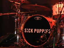 Sick Puppies / 10 Years on Aug 2, 2013 [627-small]