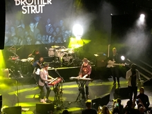 Brother Strut on Jan 26, 2018 [380-small]