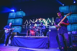 Animals as Leaders / Parazit on Jul 21, 2017 [896-small]
