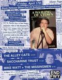 Mike Watt + The Missingmen / Saccharaine Trust / The Alley Cats on Apr 17, 2015 [913-small]