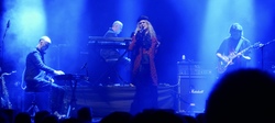 Steve Hackett on Nov 23, 2019 [796-small]