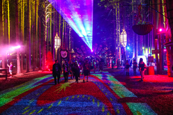 Electric Forest 2019  on Jun 29, 2019 [203-small]