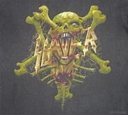 Slayer / Biohazard / Machine Head on Jan 26, 1995 [345-small]