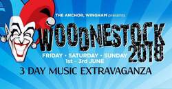 Woodnestock festival on Jun 1, 2018 [820-small]
