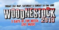 Woodnestock festival  on May 31, 2019 [066-small]